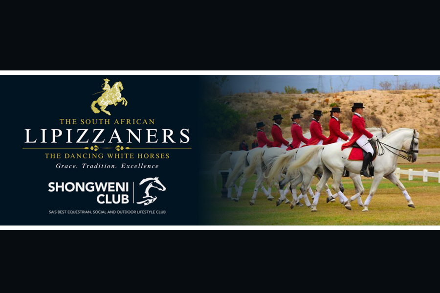 lipizzaners_shongweni
